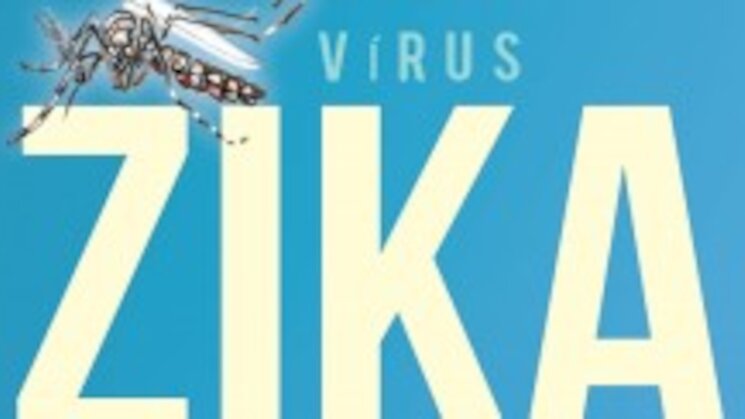 Infeccin por el Zika virus