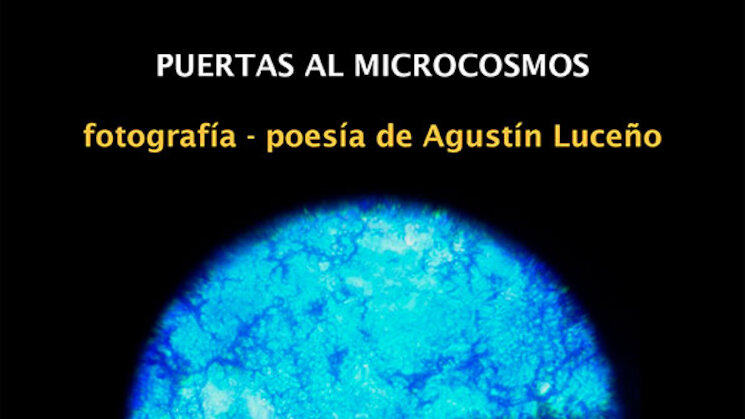 Exposicin Puertas al microcosmos