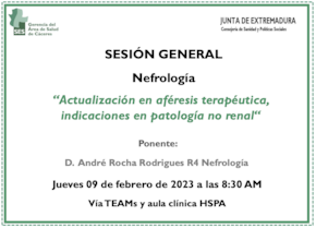 Actualización en aféresis terapéutica, indicaciones en patología renal