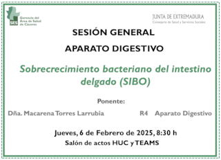 Sobrecrecimiento bacteriano del intestino delgado (SIBO)