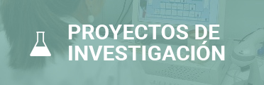 Proyectos investigación