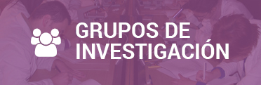 Grupos de investigación