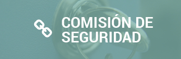 Comisión de seguridad