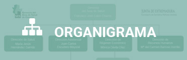 Organigrama