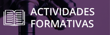 Actividades formativas